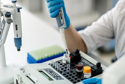 Анализ кала на эластазу