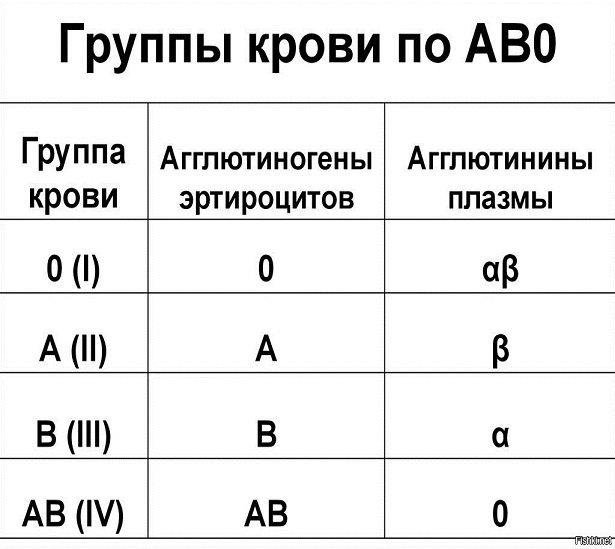 Может измениться группа крови в течение жизни. 1 2 3 4 Группа крови. Первая группа крови маркировка. Как обозначается 4 положительная группа крови. Система ав0 группы крови таблица.