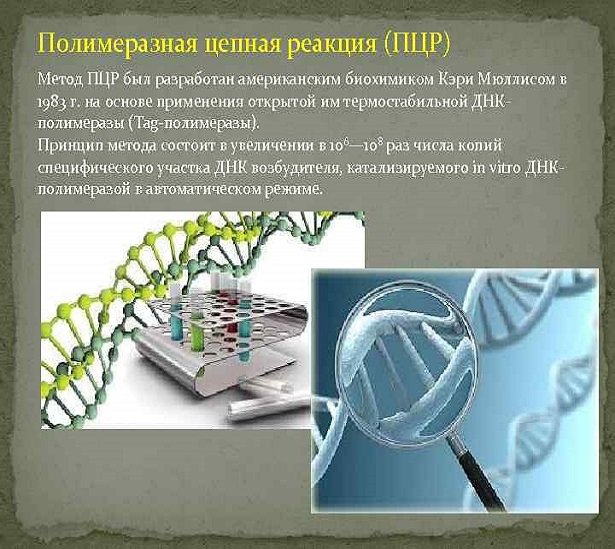 Достоинства ПЦР методики